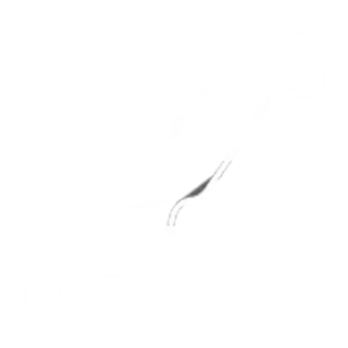 Assen (Pays-Bas)