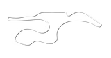 Sonoma Indy