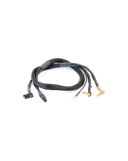 [C0360B] LIPO BALANCE LEAD XT60 (60cm) w/4+5MM BATT PLUG - CENTRO - C0360B
