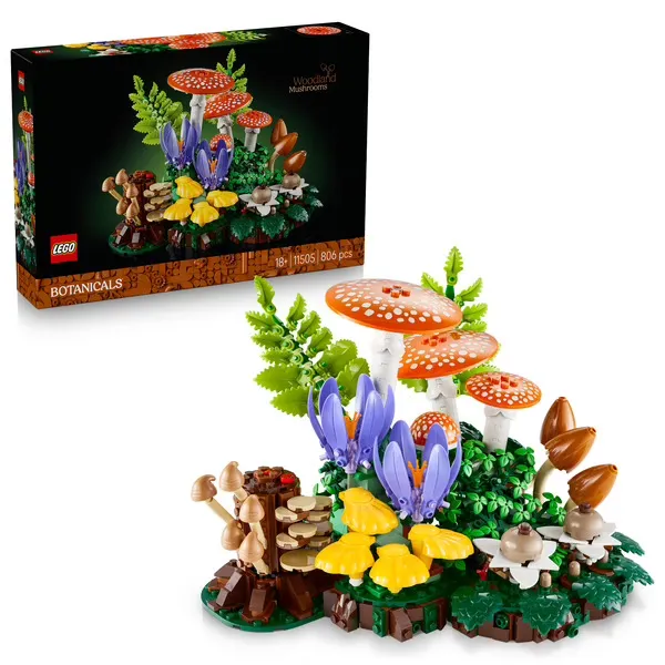 [11505] woodland mushrooms 11505